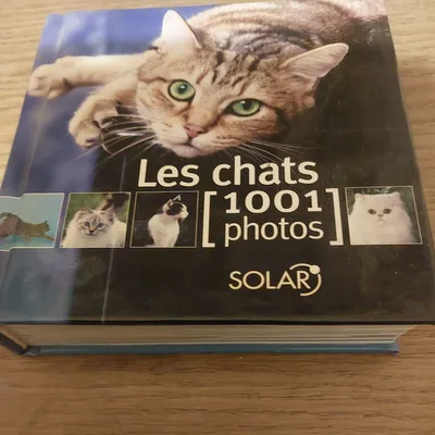 Livre les charts 1001 photos 